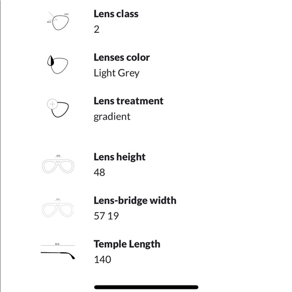 COPY - Black Ray-Ban Cats 1000 sunglasses - Picture 5 of 5